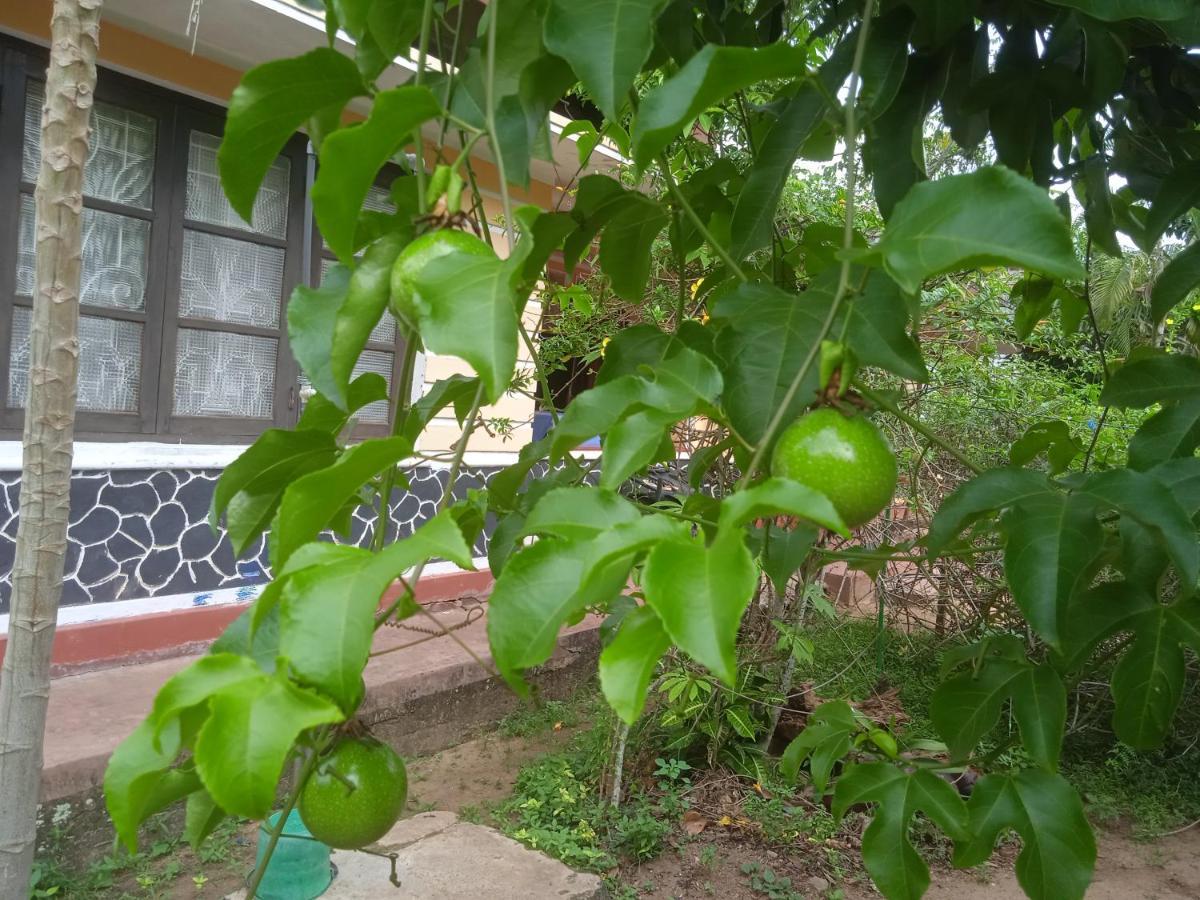 Sanaya Homestay Tangalle Kültér fotó